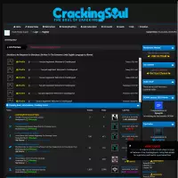 Crackingsoul.com